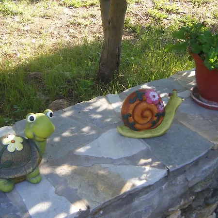 Elianthos * Skála Kallirákhis