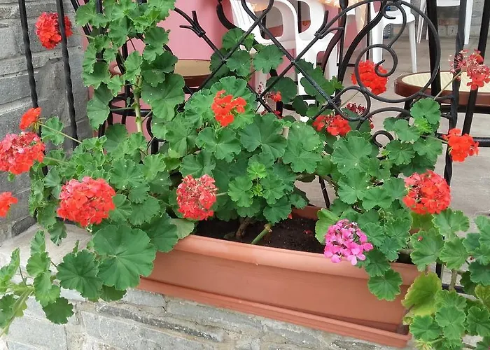 Apartament Elianthos *
