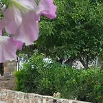 Elianthos