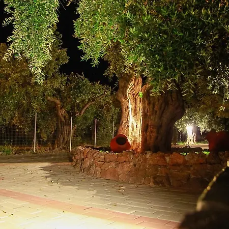 Elianthos
