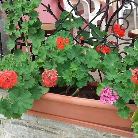 Apartmán Elianthos *