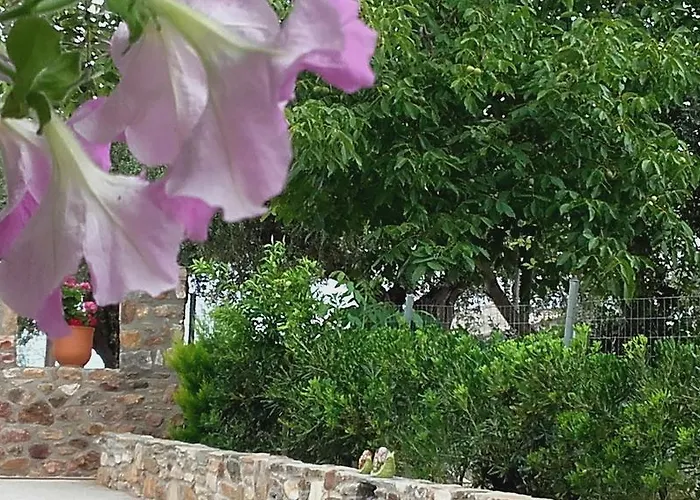 Elianthos